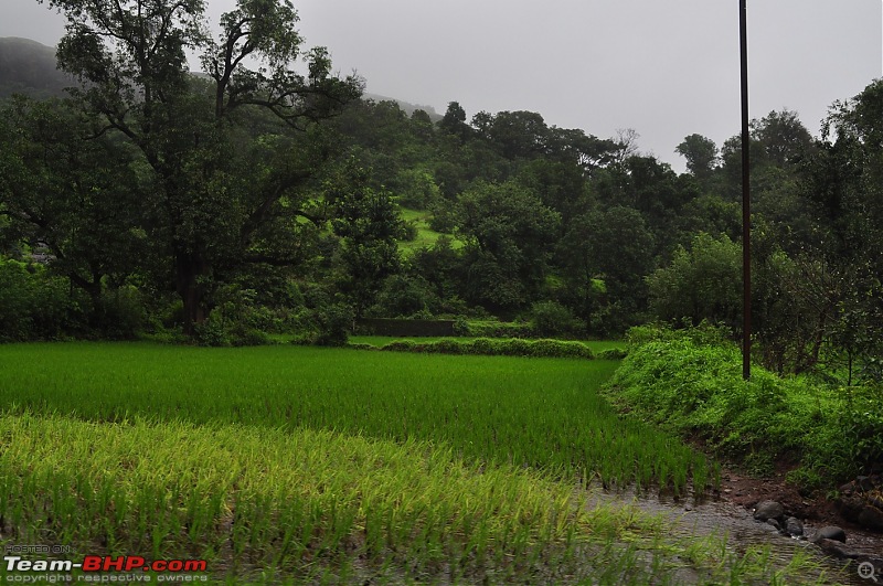 An unplanned long-weekend trip to Bhandardara-Igatpuri-dsc_1342.jpg