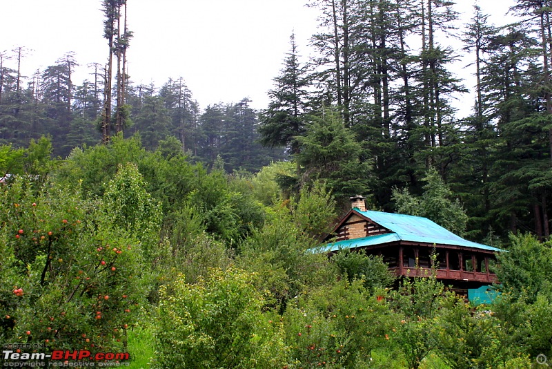 Yet another road trip - Motorcycling in Ladakh!-1img_4764.jpg