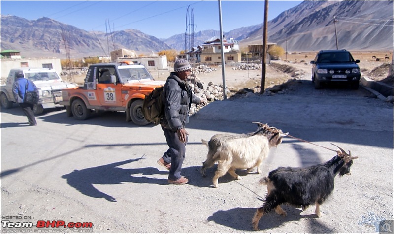 Self-Drive Exploratory Expedition->Zanskar+Unknown Kashmir-> "off-season October 2011-img_9077.jpg