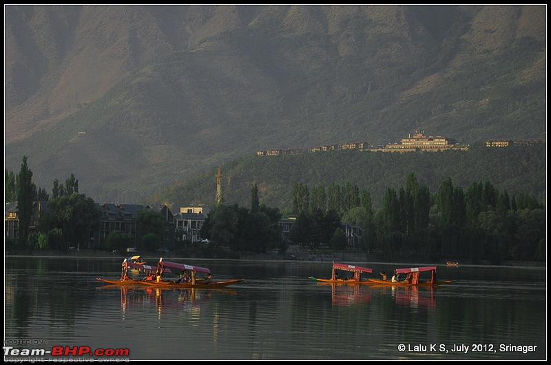 Cliffhanger Himachal, Hidden Kashmir and a search for Mughal Ghosts-dsc_9968.jpg