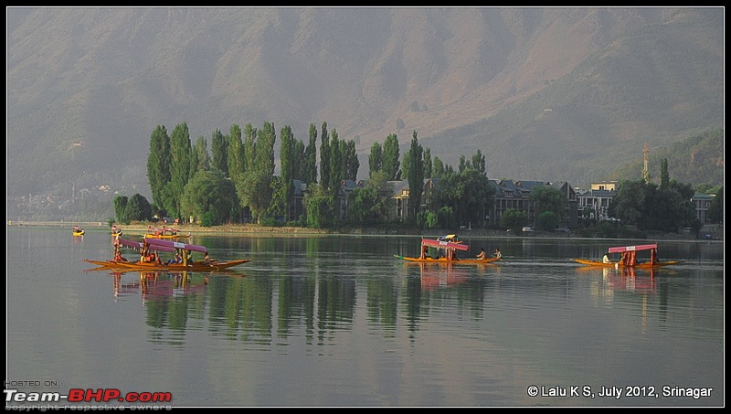 Cliffhanger Himachal, Hidden Kashmir and a search for Mughal Ghosts-dsc_9970.jpg