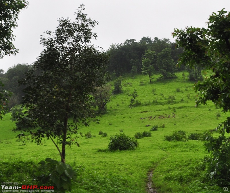 An unplanned long-weekend trip to Bhandardara-Igatpuri-dsc_0429.jpg