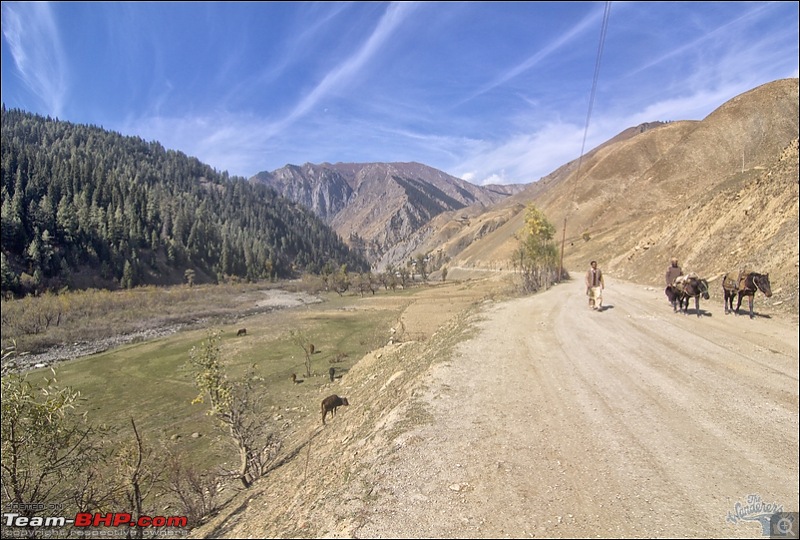 Self-Drive Exploratory Expedition->Zanskar+Unknown Kashmir-> "off-season October 2011-img_9451.jpg