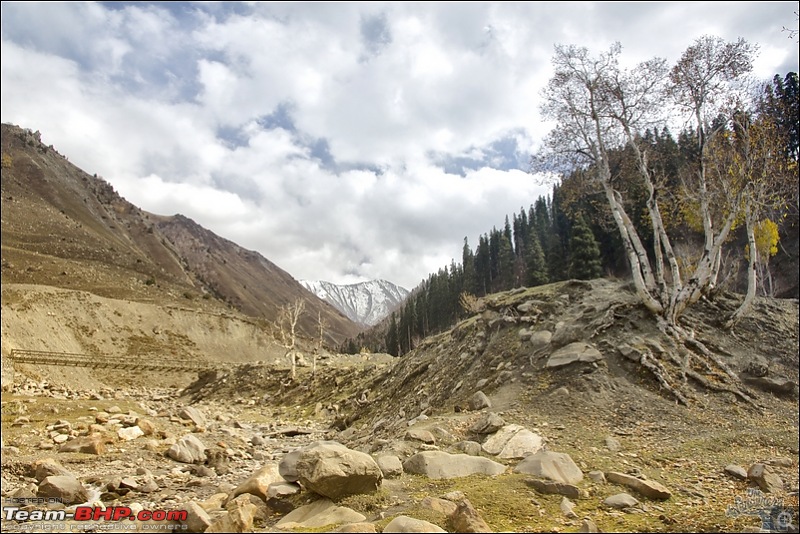 Self-Drive Exploratory Expedition->Zanskar+Unknown Kashmir-> "off-season October 2011-img_95191.jpg