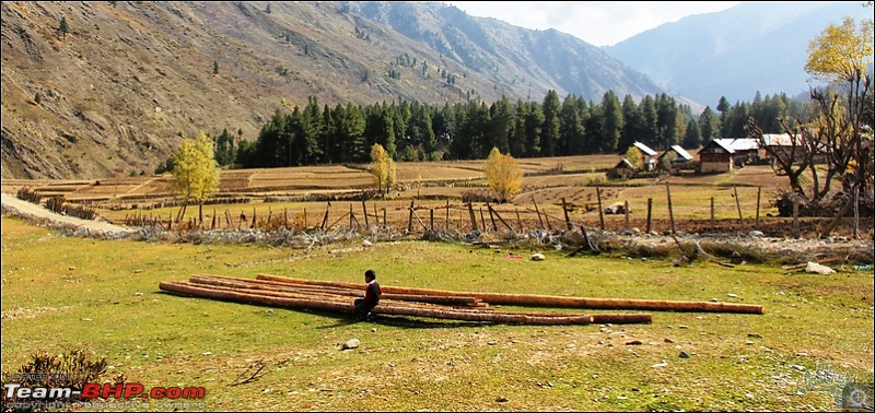 Self-Drive Exploratory Expedition->Zanskar+Unknown Kashmir-> "off-season October 2011-img_9757.jpg