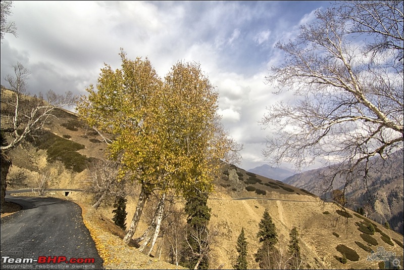 Self-Drive Exploratory Expedition->Zanskar+Unknown Kashmir-> "off-season October 2011-img_9781.jpg