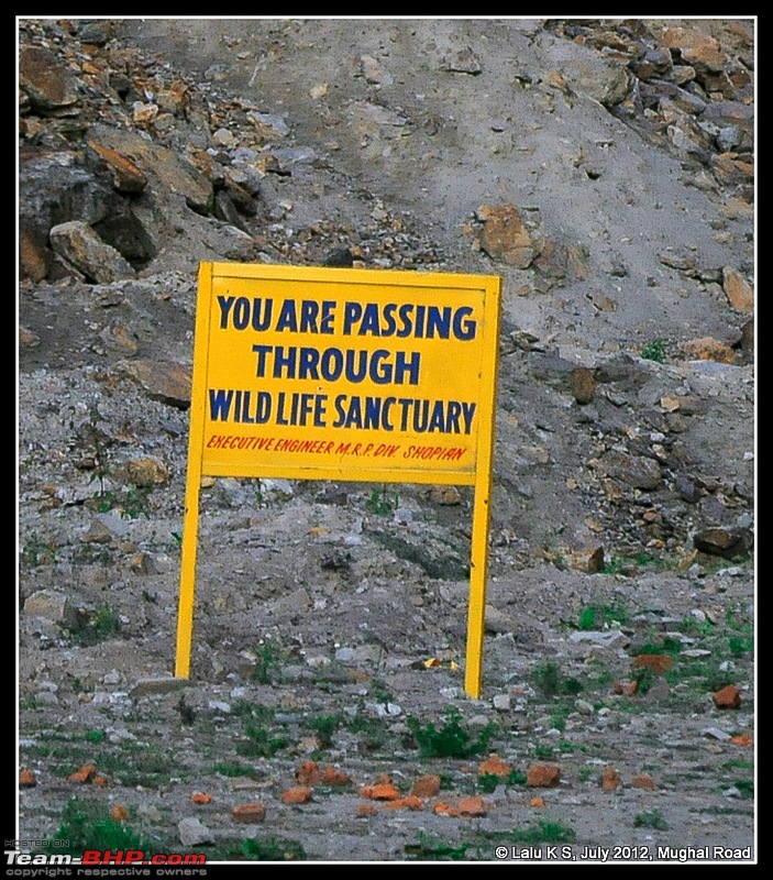 Cliffhanger Himachal, Hidden Kashmir and a search for Mughal Ghosts-dsc_0080.jpg