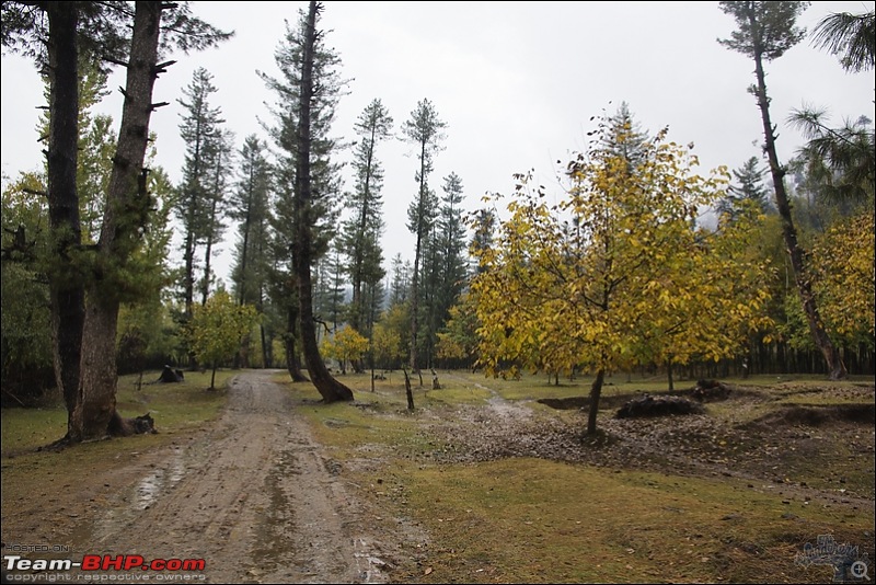 Self-Drive Exploratory Expedition->Zanskar+Unknown Kashmir-> "off-season October 2011-img_0125.jpg