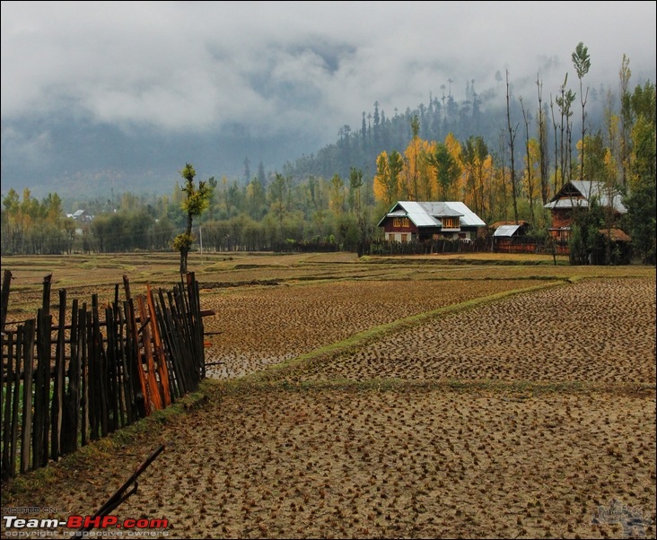 Self-Drive Exploratory Expedition->Zanskar+Unknown Kashmir-> "off-season October 2011-img_0150-2.jpg