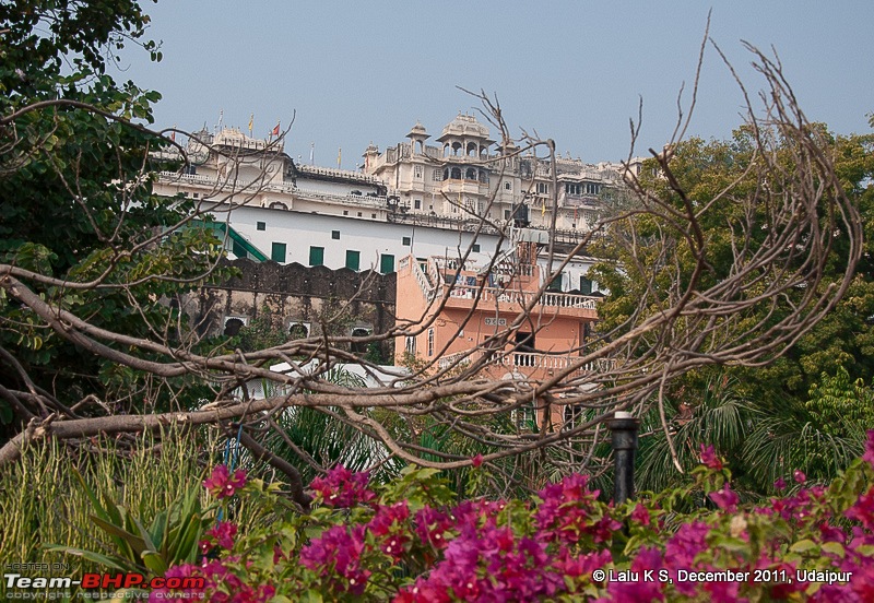 Rajasthan - Padharo Mhare Des-dsc_4260.jpg