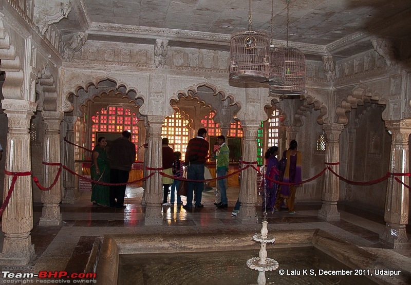Rajasthan - Padharo Mhare Des-dsc_4308.jpg
