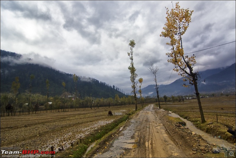 Self-Drive Exploratory Expedition->Zanskar+Unknown Kashmir-> "off-season October 2011-img_0274.jpg