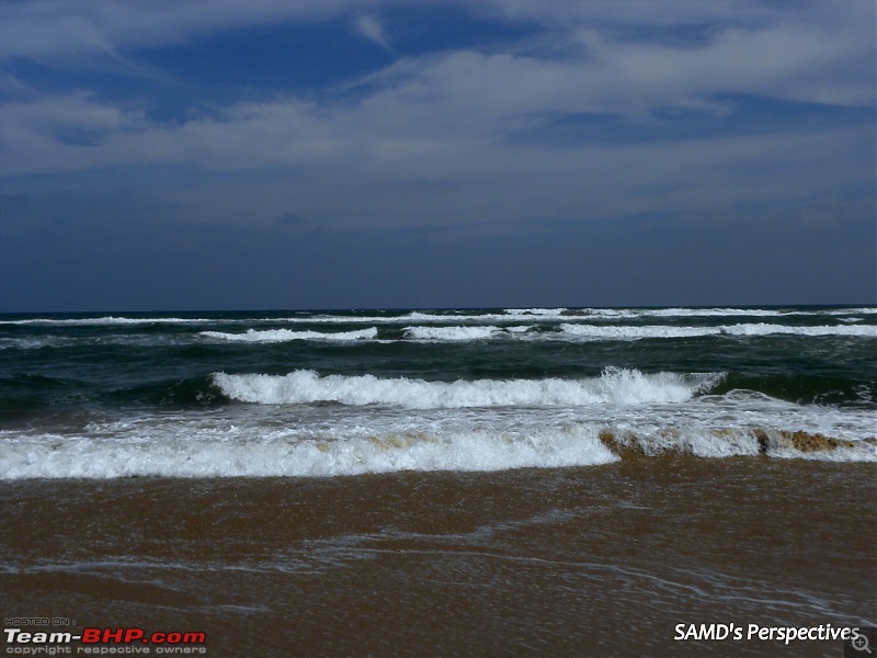 Lazing Around With Bagheera On The Odisha Coast-dscn5845.jpg