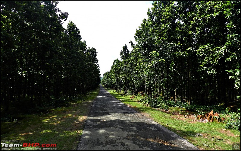 The scintillating Patratu Valley in Jharkhand-dscn0541.jpg