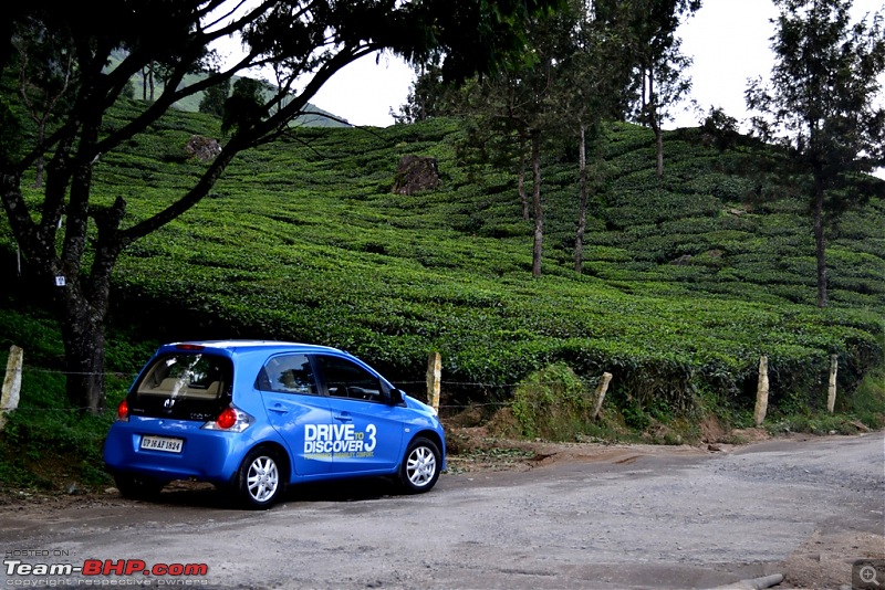 In a Honda Brio : Kochi - Munnar - Thiruvananthapuram-dsc_0131.jpg