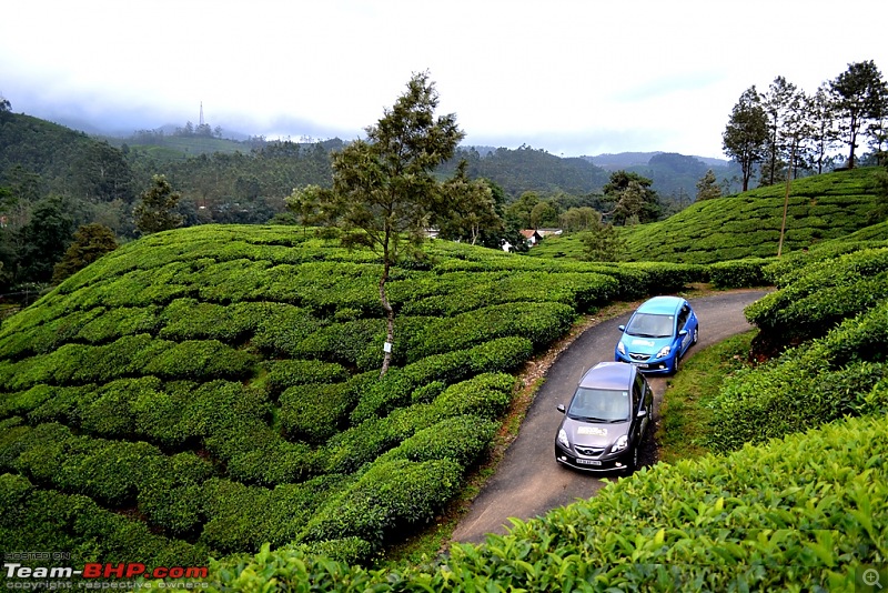 In a Honda Brio : Kochi - Munnar - Thiruvananthapuram-dsc_0169.jpg