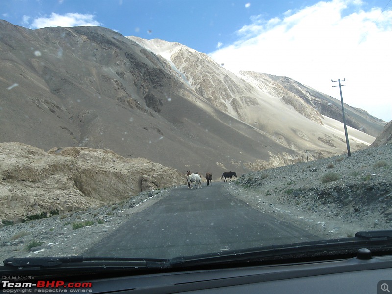 How hard can it be? Bangalore to Ladakh in a Linea-picture-300.jpg