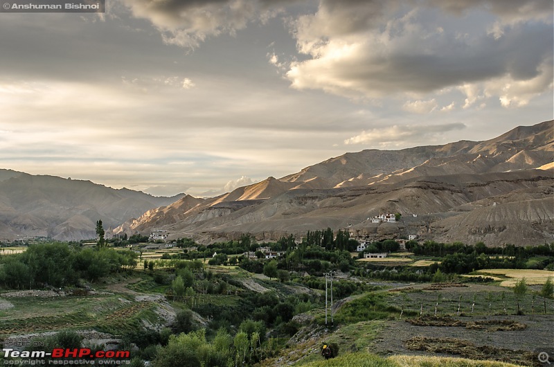 Ladakh in my Laura- Travelogue-dsc_7885.jpg