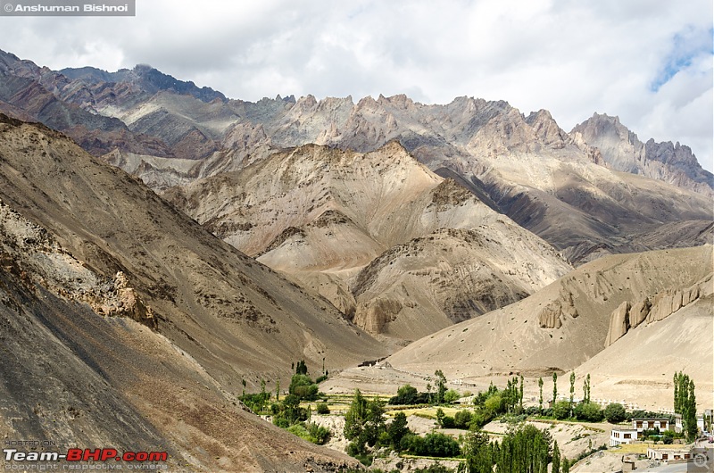 Ladakh in my Laura- Travelogue-dsc_7950.jpg