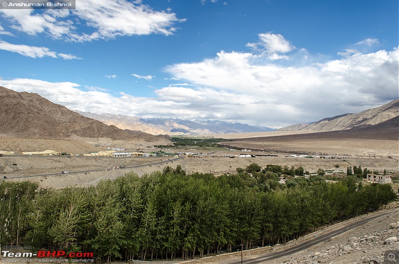 Ladakh in my Laura- Travelogue-dsc_7969.jpg