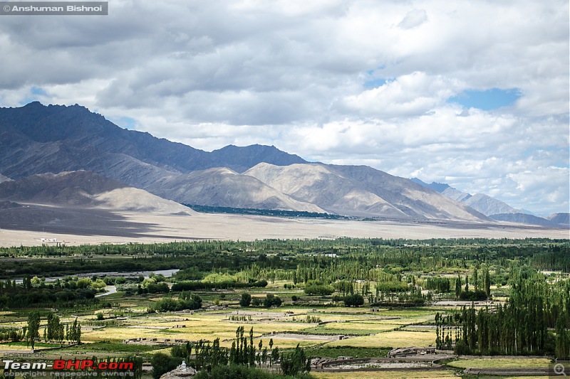Ladakh in my Laura- Travelogue-dsc_8024.jpg