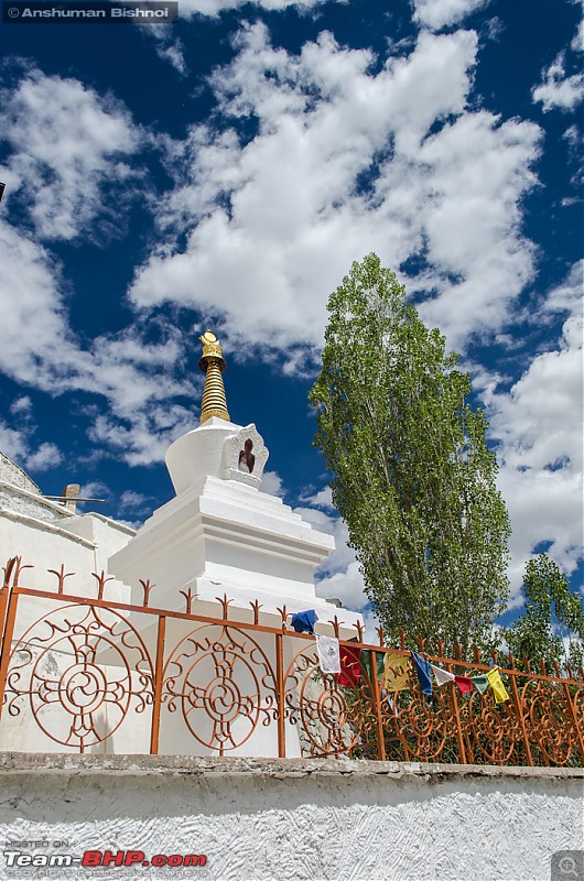 Ladakh in my Laura- Travelogue-dsc_8036.jpg