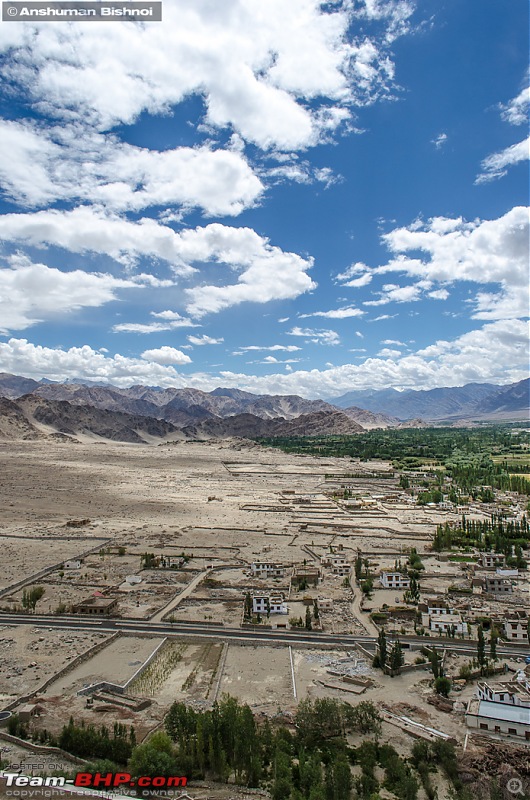 Ladakh in my Laura- Travelogue-dsc_8044.jpg