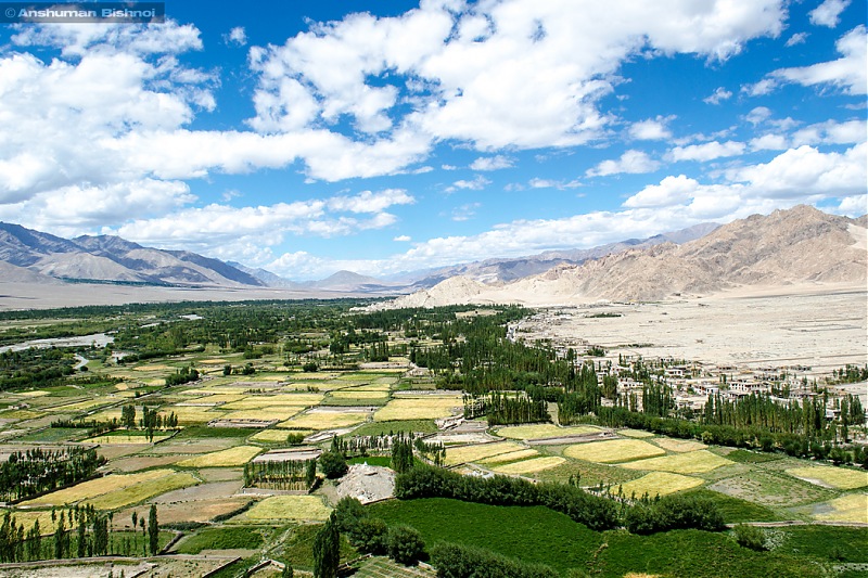 Ladakh in my Laura- Travelogue-dsc_8095.jpg