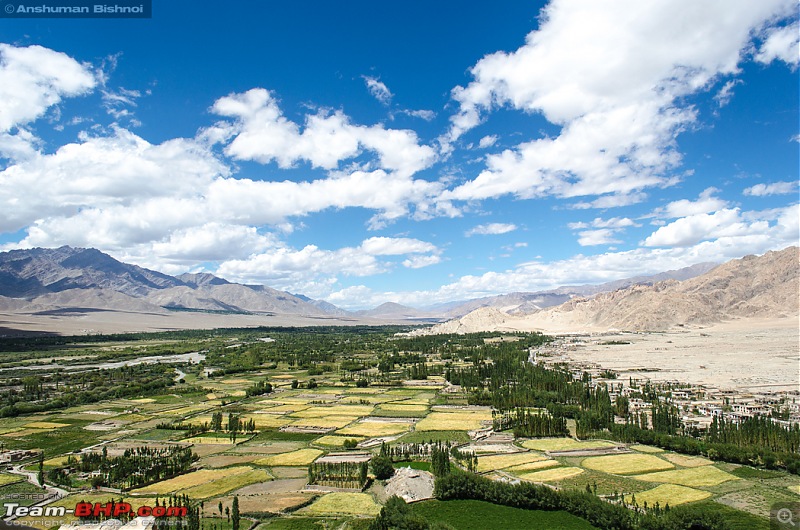 Ladakh in my Laura- Travelogue-dsc_8101.jpg