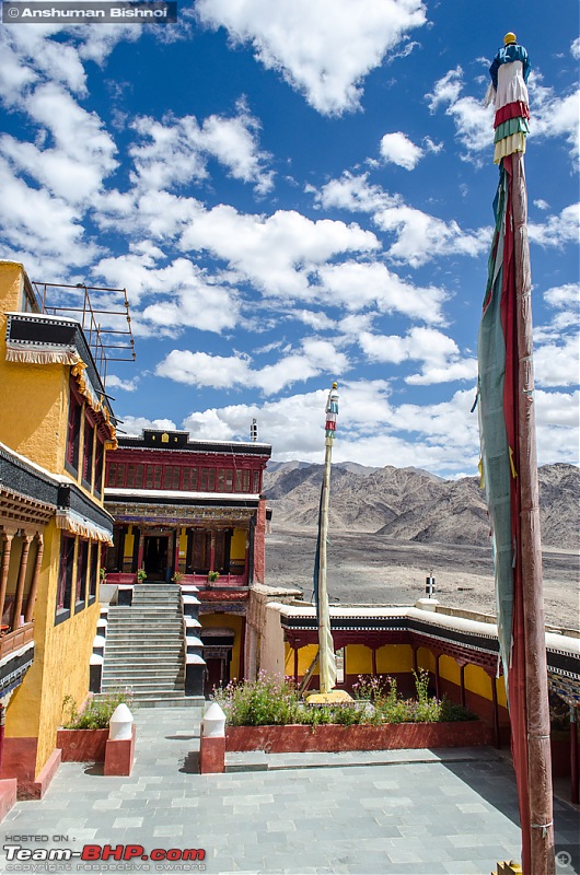 Ladakh in my Laura- Travelogue-dsc_8115.jpg