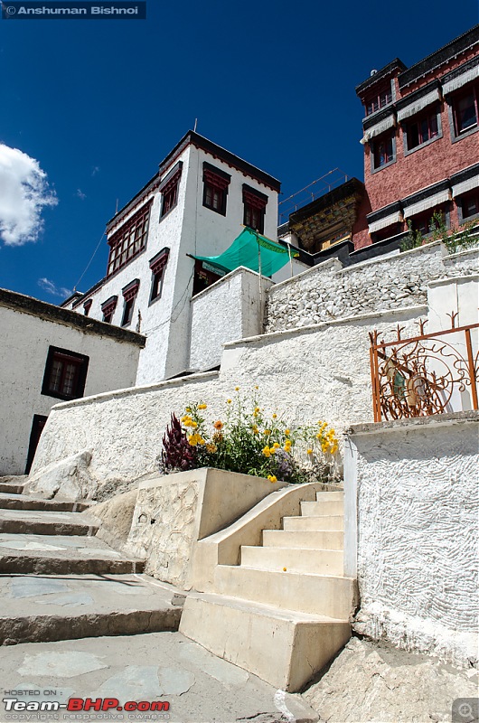 Ladakh in my Laura- Travelogue-dsc_8135.jpg