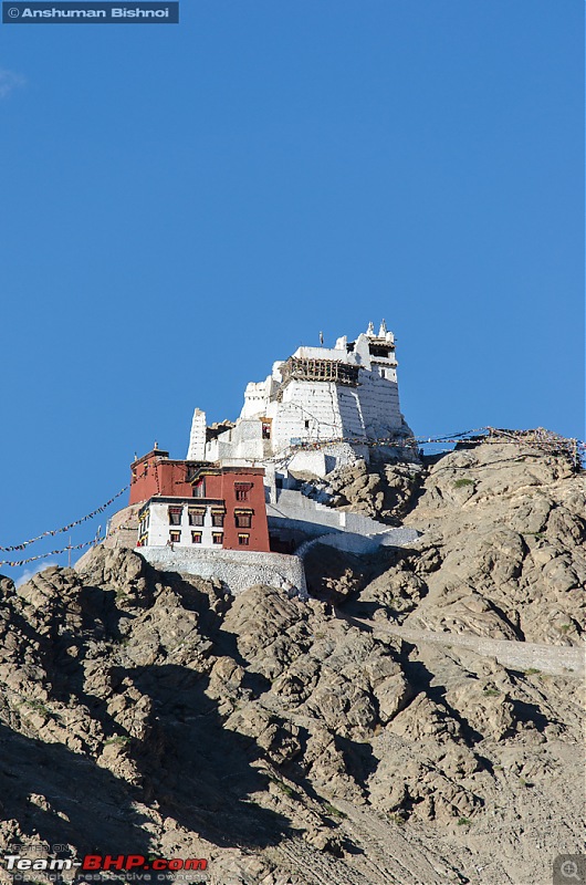 Ladakh in my Laura- Travelogue-dsc_8192.jpg