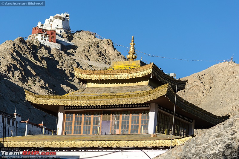 Ladakh in my Laura- Travelogue-dsc_8193.jpg
