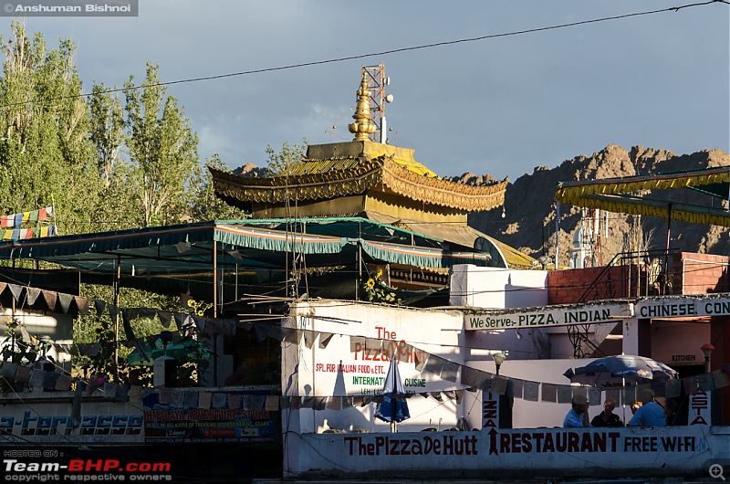 Ladakh in my Laura- Travelogue-dsc_8199.jpg