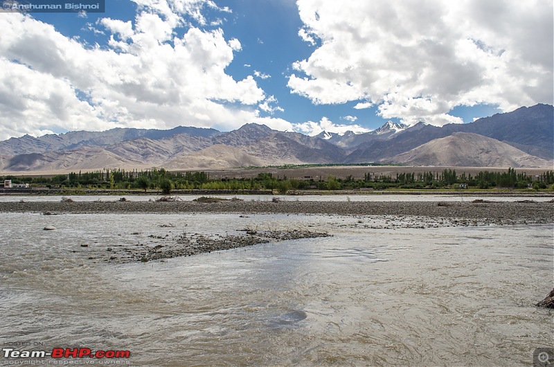 Ladakh in my Laura- Travelogue-dsc_8149.jpg