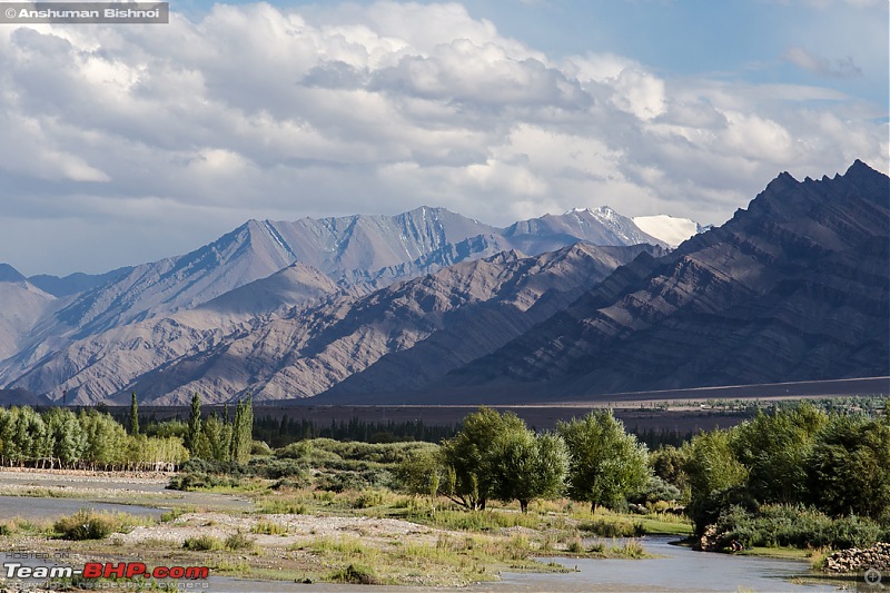Ladakh in my Laura- Travelogue-dsc_8181.jpg