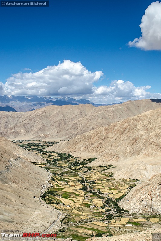 Ladakh in my Laura- Travelogue-dsc_8240.jpg