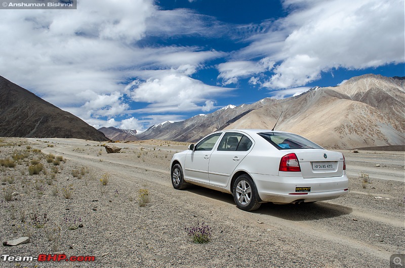 Ladakh in my Laura- Travelogue-dsc_8273.jpg