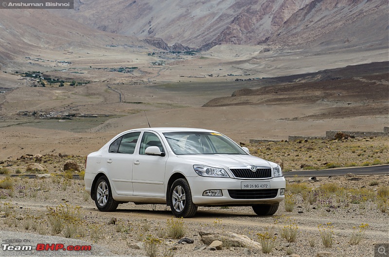 Ladakh in my Laura- Travelogue-dsc_8286.jpg