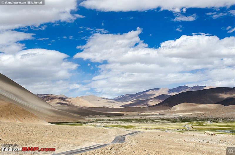 Ladakh in my Laura- Travelogue-dsc_8317.jpg