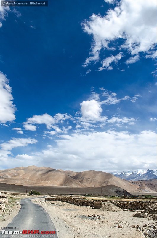 Ladakh in my Laura- Travelogue-dsc_8332.jpg