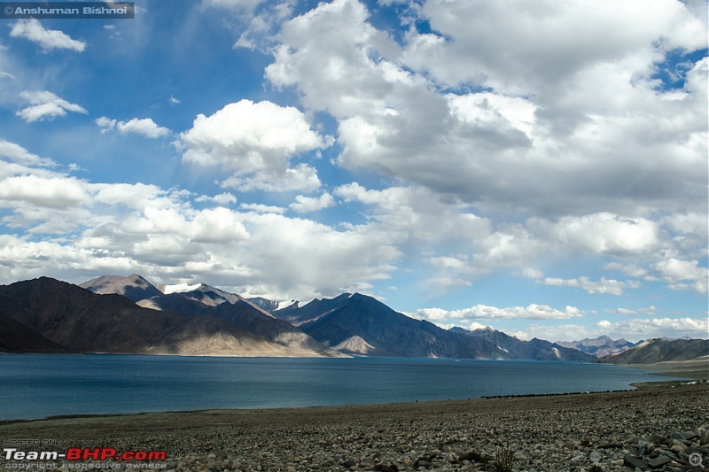 Ladakh in my Laura- Travelogue-dsc_8354.jpg