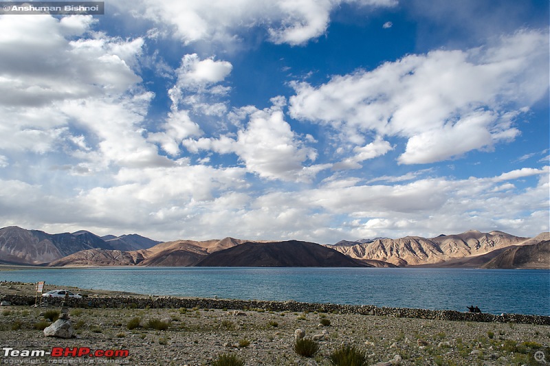 Ladakh in my Laura- Travelogue-dsc_8355.jpg