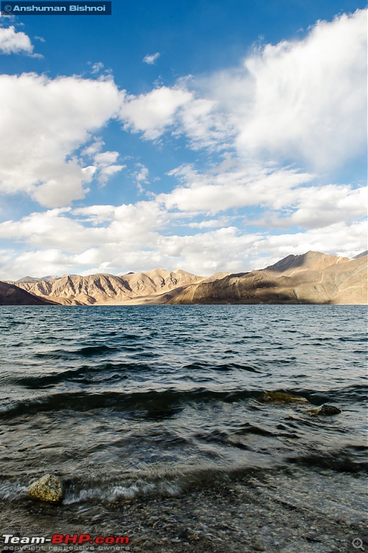 Ladakh in my Laura- Travelogue-dsc_8370.jpg
