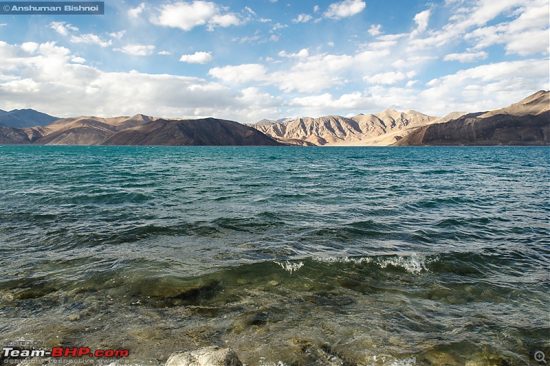 Ladakh in my Laura- Travelogue-dsc_8392.jpg