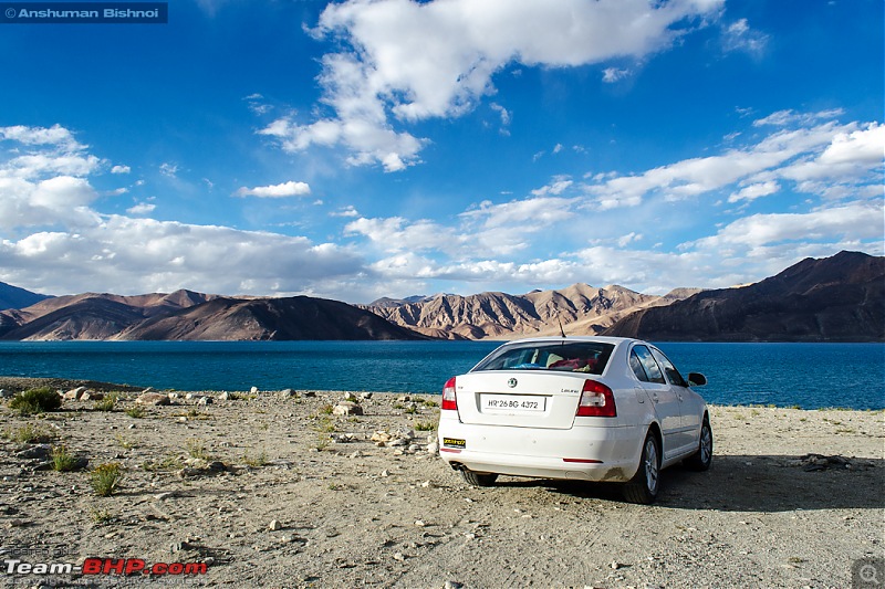 Ladakh in my Laura- Travelogue-dsc_8395.jpg