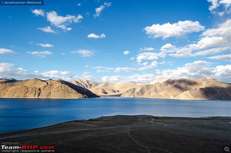 Ladakh in my Laura- Travelogue-dsc_8407.jpg