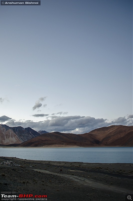 Ladakh in my Laura- Travelogue-dsc_8421.jpg