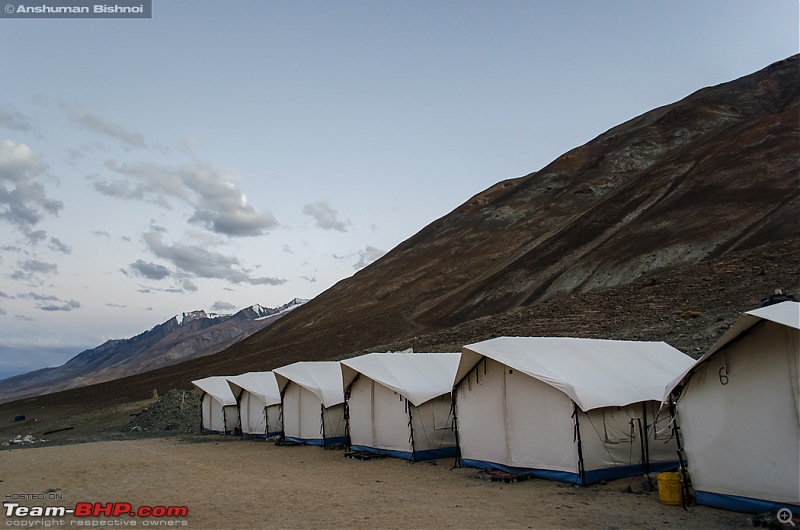 Ladakh in my Laura- Travelogue-dsc_8423.jpg