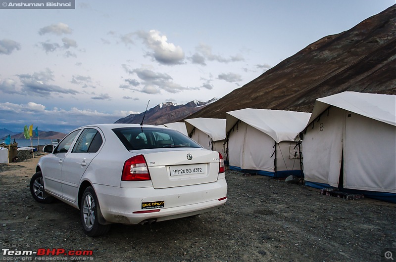 Ladakh in my Laura- Travelogue-dsc_8428.jpg
